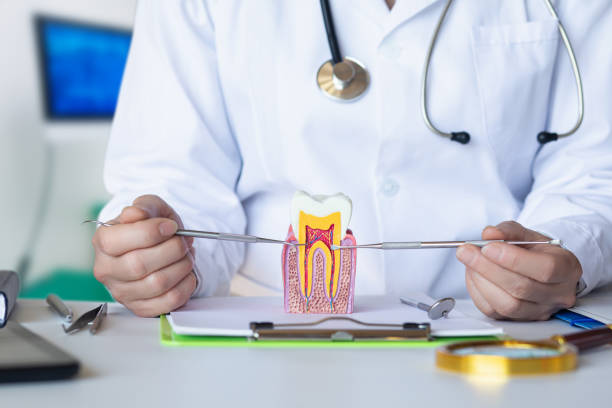 Best Broken or Cracked Tooth Emergency Dentist in Firthcliffe, NY